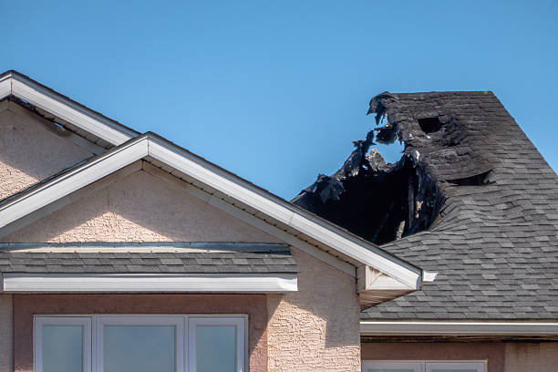 Top rated local Fire Board Up specialists in Hamilton, TX